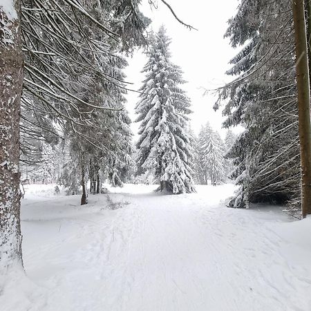 Hotel Zum Gruendle Oberhof  Luaran gambar