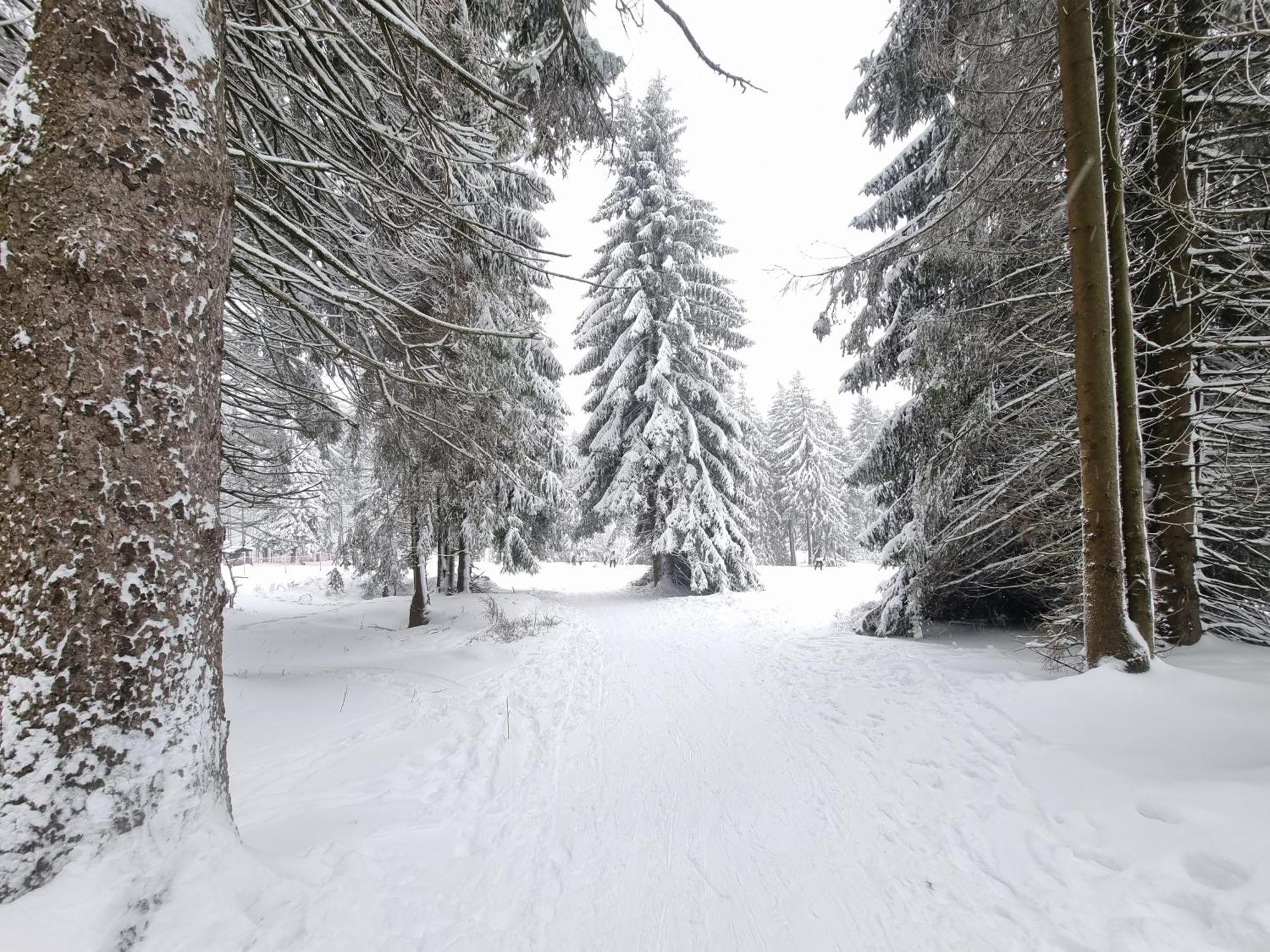 Hotel Zum Gruendle Oberhof  Luaran gambar